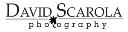 David Scarola Photography logo